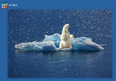 Réchauffement climatique : des conséquences de plus en plus visibles sur les océans