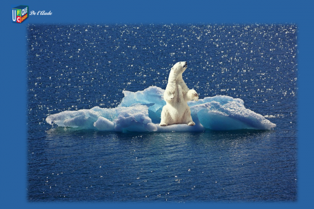 Réchauffement climatique : des conséquences de plus en plus visibles sur les océans