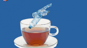 Sachets de thé : infusions aux micro-plastiques et nanoparticules