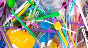 Lutte contre le gaspillage : de nouveaux objets en plastique à usage unique interdits
